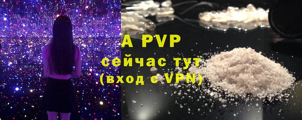 прущие крисы Белоозёрский