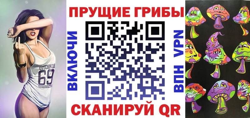 закладки  Вяземский  Псилоцибиновые грибы Cubensis 